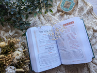 Siddur Or veShalom [Sidduré Or] - Shabbat & Festivals